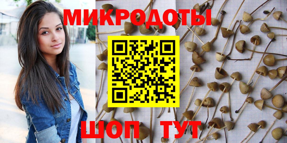 Галлюциногенные грибы мицелий  Вход с VPN  Щёкино 